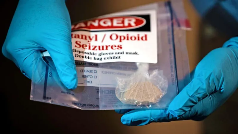 Why drug overdose deaths have suddenly plummeted in the US