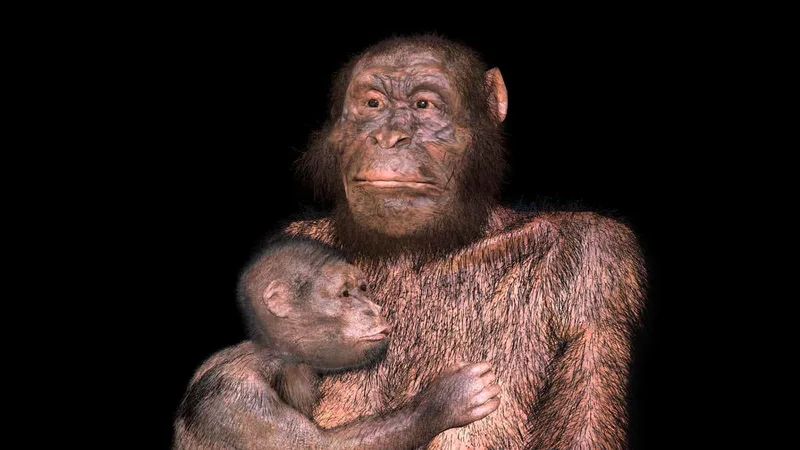 Our extinct Australopithecus relatives may have had difficult births