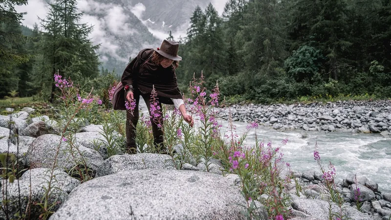 Learn the secrets of nature’s larder on a foraging trip to Italy’s Brenta Dolomites