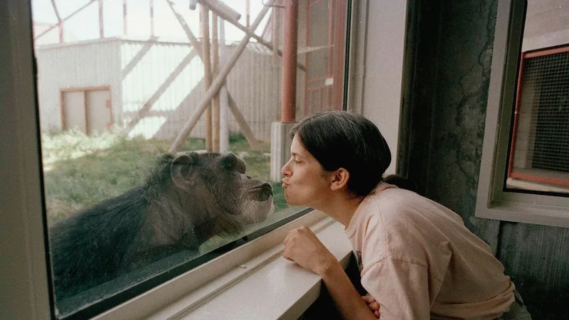 Will humans and animals ever be able to converse? Here’s what science says.
