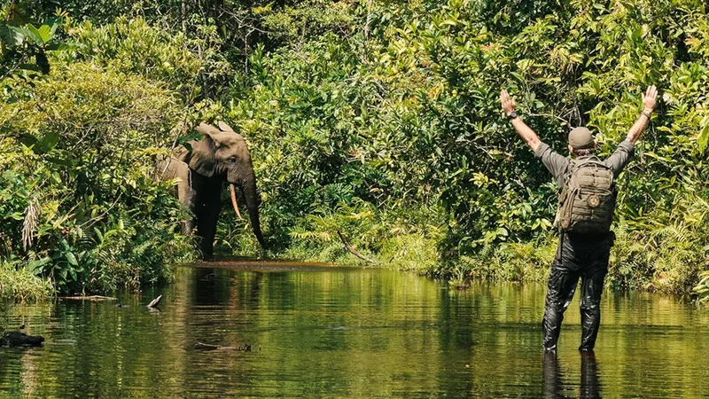 See 'the lungs of Africa' through the eyes of a photographer