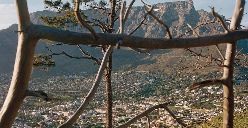 The City Where Coetzee Is God
