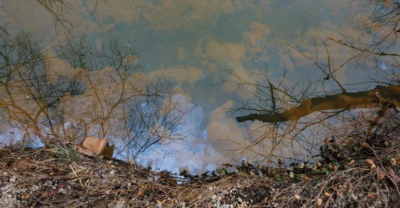 Washington’s Sewage Apocalypse