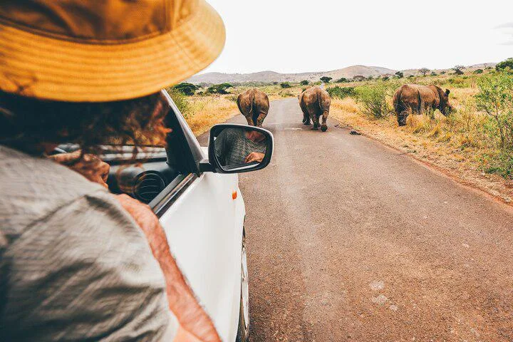 7 of the world's best self-drive safaris