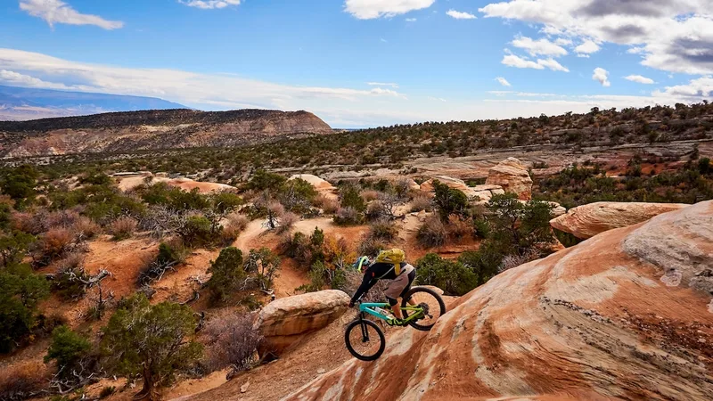Hop on a train to these 8 scenic bike trails, from the Great Allegheny Passage to Glacier National Park
