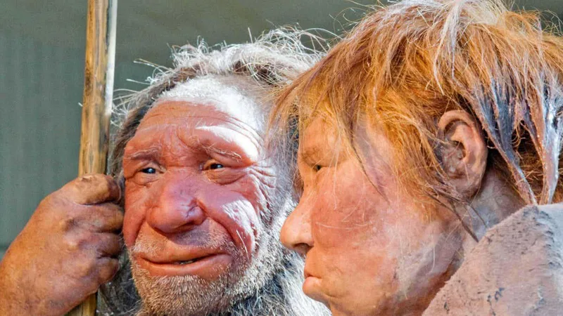 Genetic clues tell the story of Neanderthals' decline