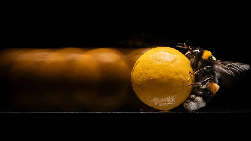 Revealing the sneaky genius of bees