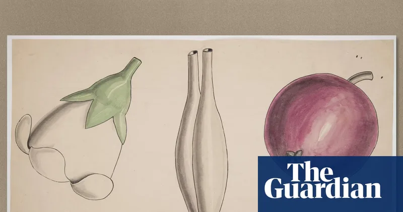 Cambridge offers botany course that inspired Darwin after rare archive uncovered
