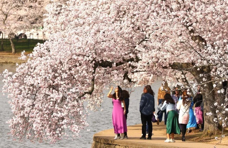 When spring bursts forth with renewal