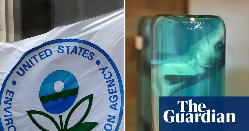 Trump EPA relied on industry science to weaken formaldehyde cancer rules, documents show
