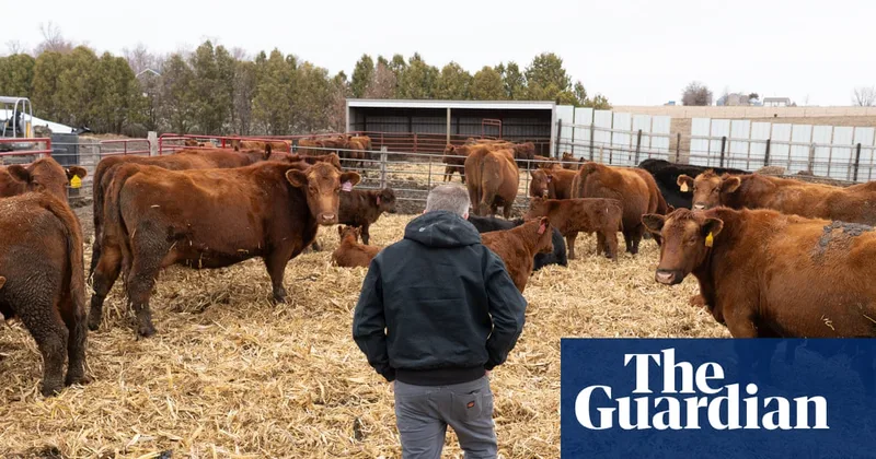 Trump provides new aid for farmers and food suppliers amid Iran war