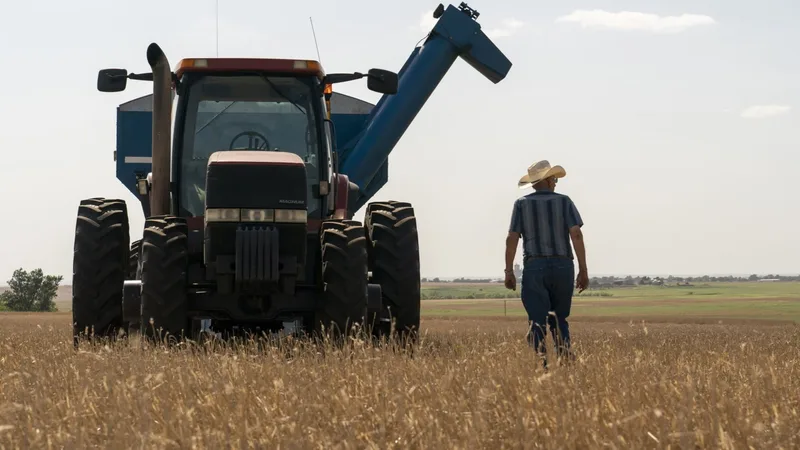 Why food prices are resisting the oil and fertiliser shock — for now