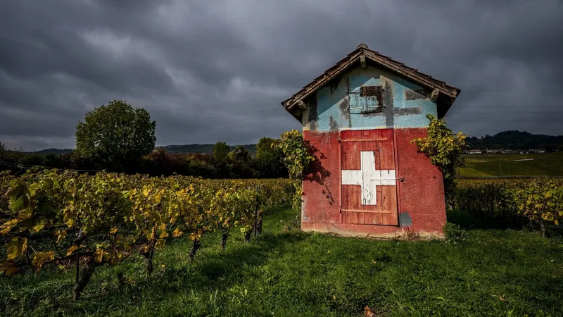 Switzerland’s wine-making president pushes to restrict imports