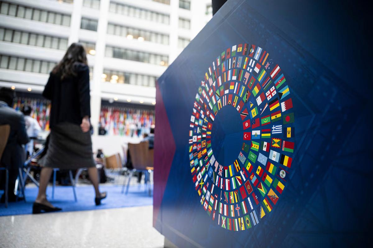 Opinion | Trump’s Gift to the IMF and China