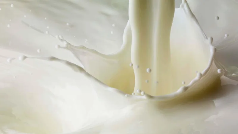 The weird physics of plant-based milks is only just coming to light
