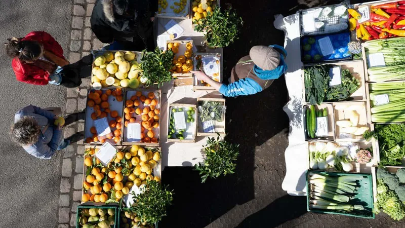 Food shock is inevitable due to the Iran war – and it could get bad