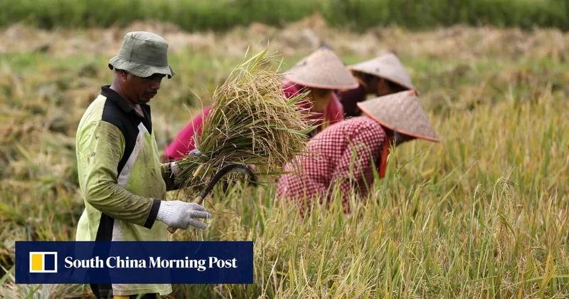 Why spike in fertiliser prices may boost China’s political clout amid Iran war shockwaves