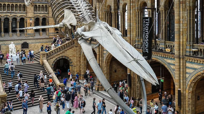 8 of the best museums to visit in London