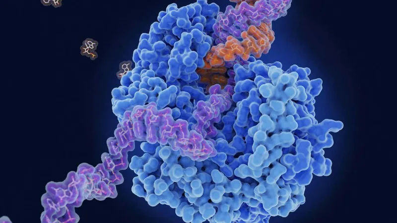 Multipurpose anti-viral pill may treat colds, norovirus, flu and covid