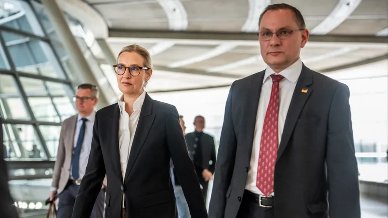 Germany’s far-right AfD distances itself from Donald Trump over Iran war