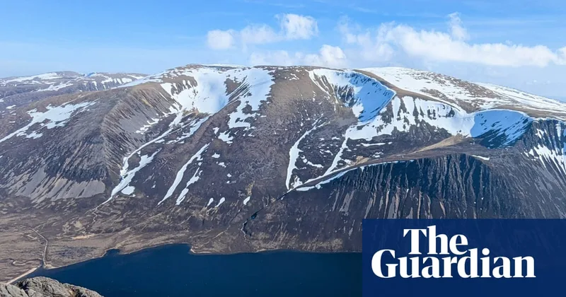 Country diary: Our first sunny day in a month – time to scale a summit