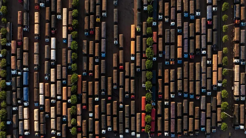 Stark photos show quest for profit cutting swathes through the Amazon