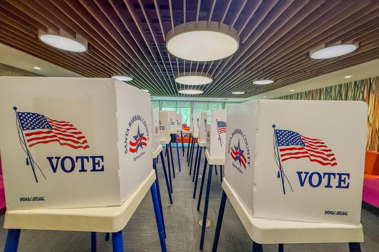 Opinion | Voting in California: All in Favor, Say ‘Arf’