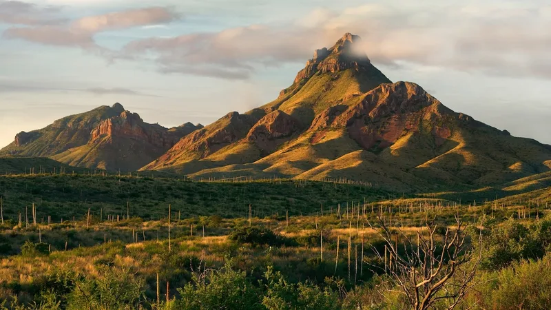 Everything you should know about Big Bend National Park