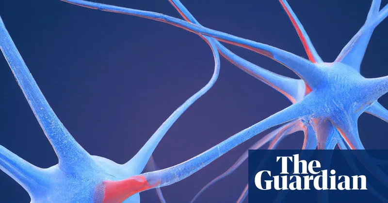 Scientists identify ‘neural fingerprint’ of psychedelic drugs in the brain