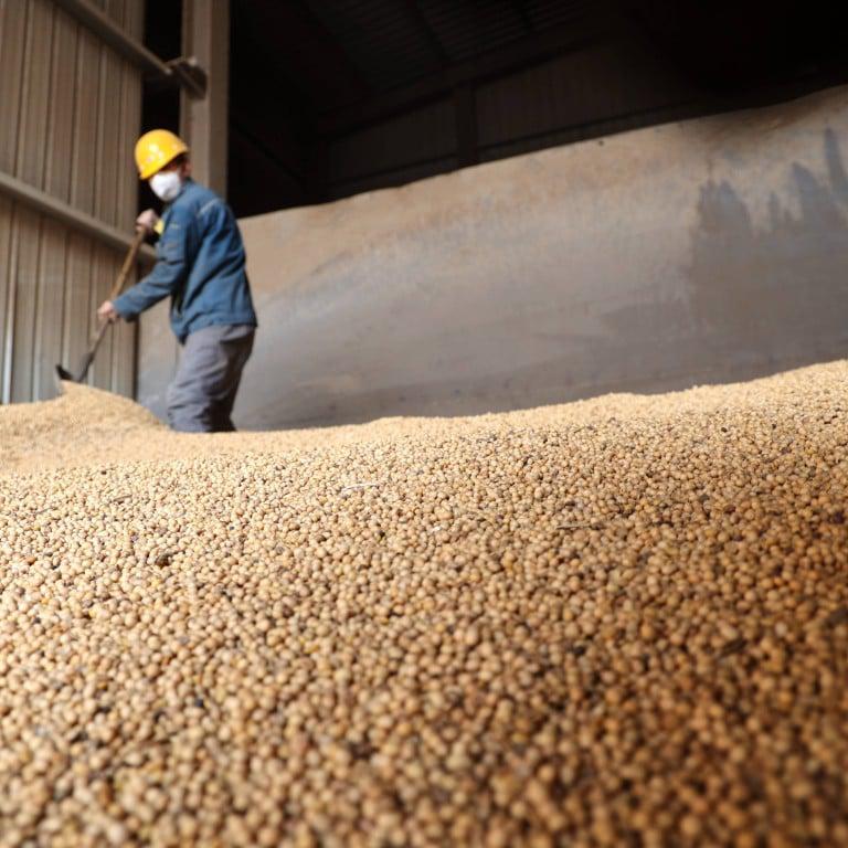China warns of food security risks as Iran war threatens global supplies