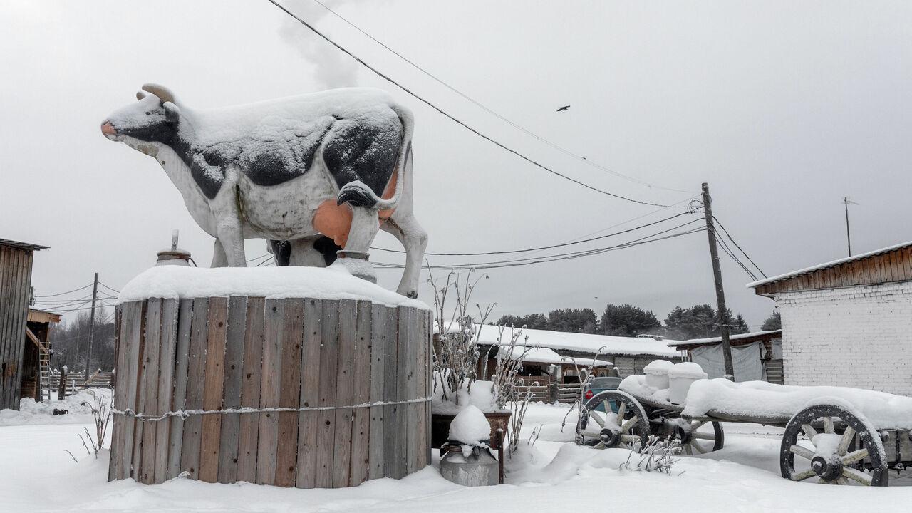 As Russia looks to slash budgets, a village fights to survive