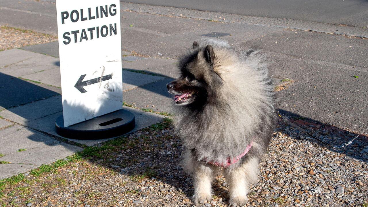 Blighty newsletter: How to build a British voter