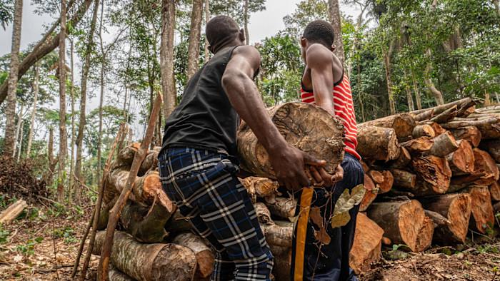 Ecocide is a crime against humanity