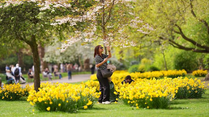 In pursuit of an itinerant spring