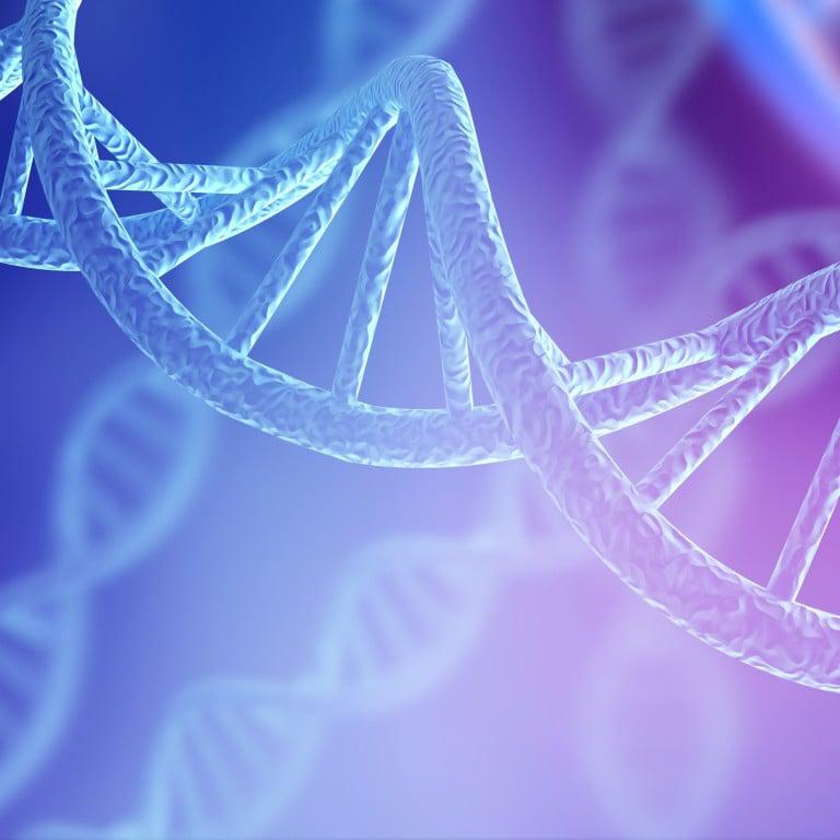 Gene study reveals unknown human migration into South America as late as 720AD