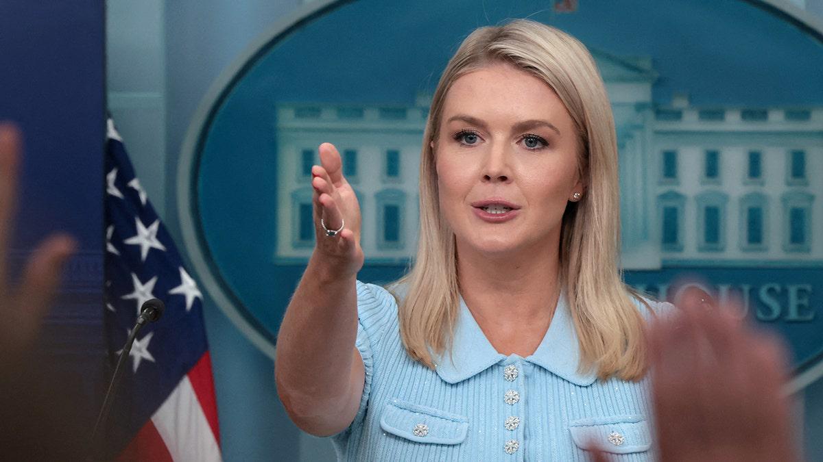 Karoline Leavitt excoriates media for perpetuating 'complete scam' of Russia hoax