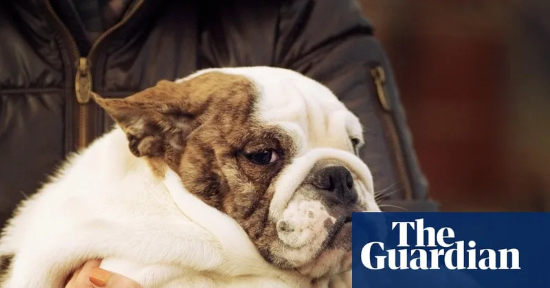 This Puppy Could Someday Save Your Life