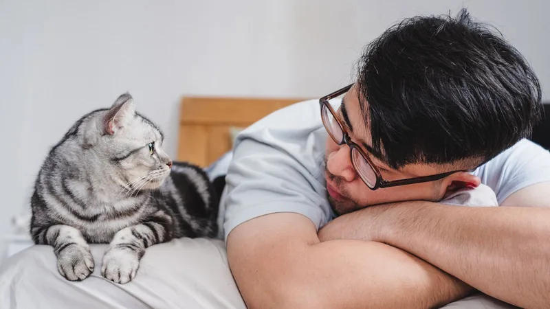 'Parasites of human societies': How did we end up so close to cats?