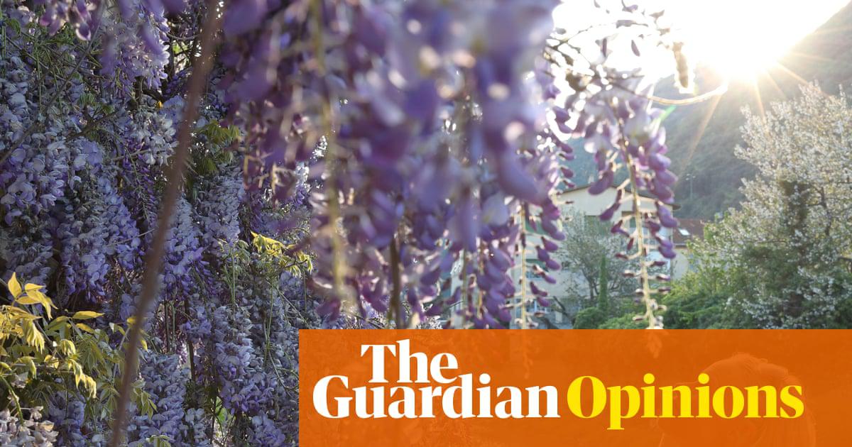 Stopping to admire wisteria and taking pride in your laundry? Join me in the land of grownups