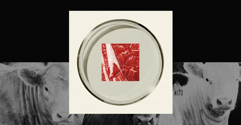 Will People Ever Stop Eating Animals?