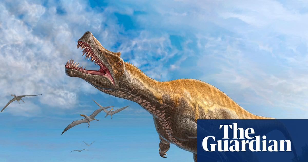 German museum to return rare Irritator dinosaur skull to Brazil