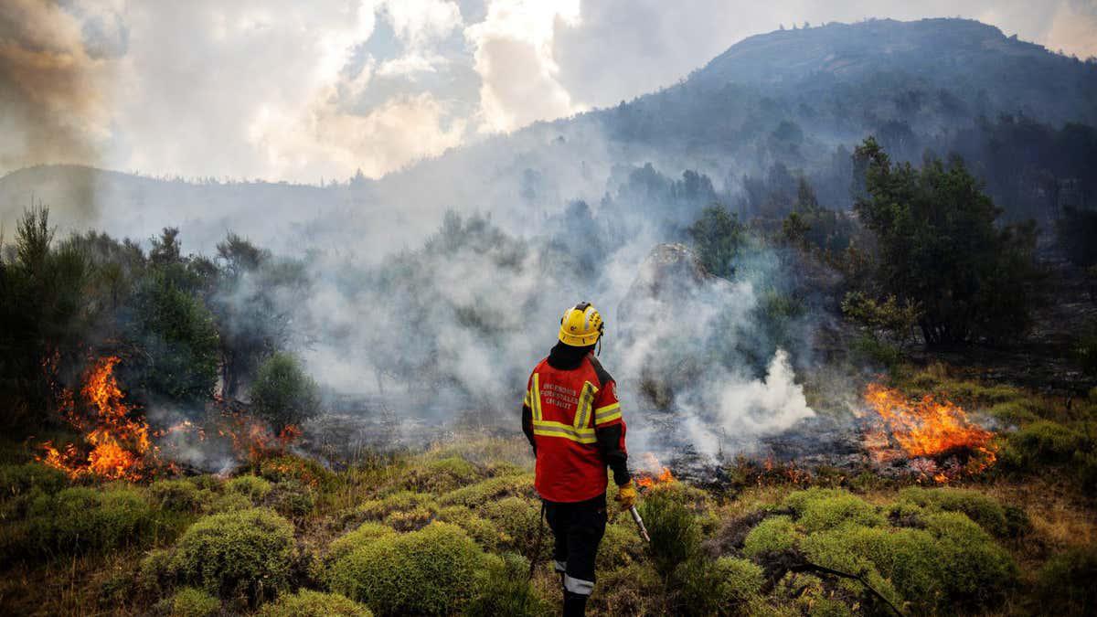 2026 will be the hottest year on record, leading scientist predicts