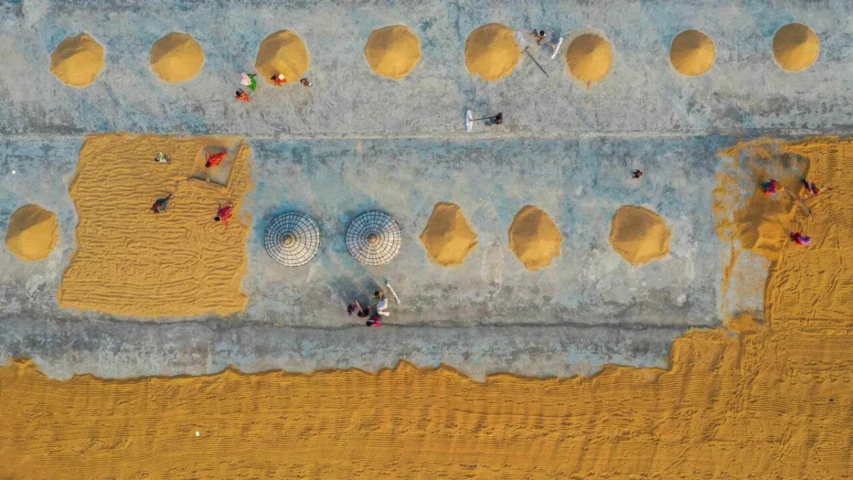 The war in the Gulf could cause a global food shock