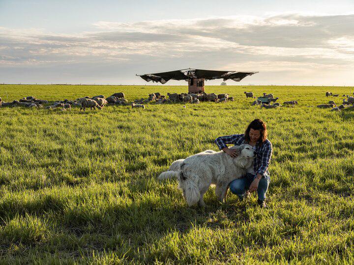 Regenerating the soil of America’s heartland