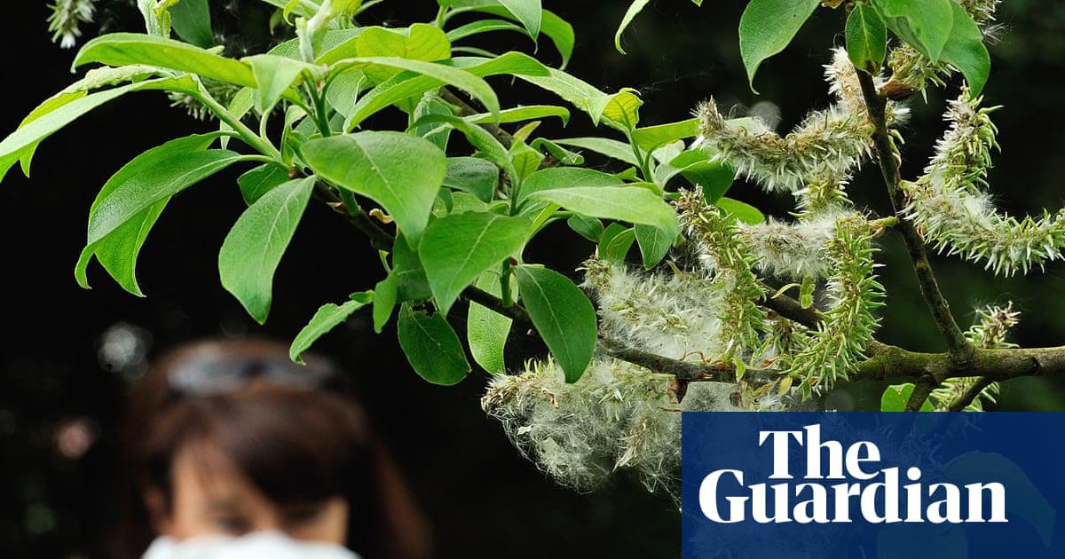 The climate crisis is making our hay fever worse – and affecting our enjoyment of nature