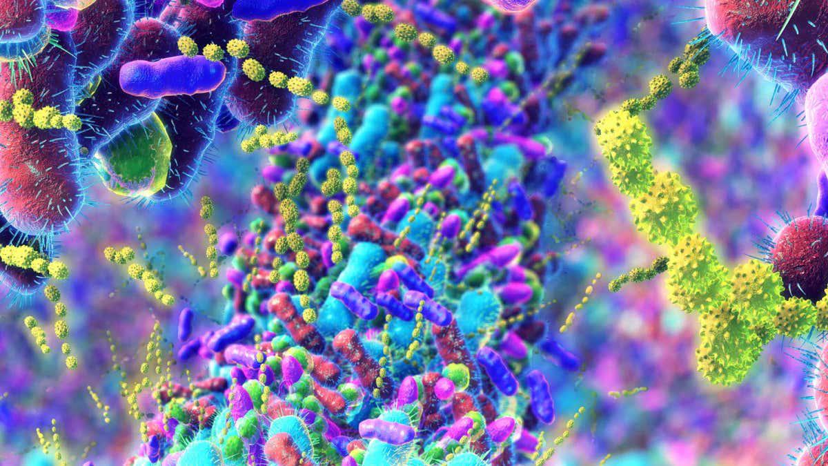 Modern living may be causing big changes to our oestrogen levels