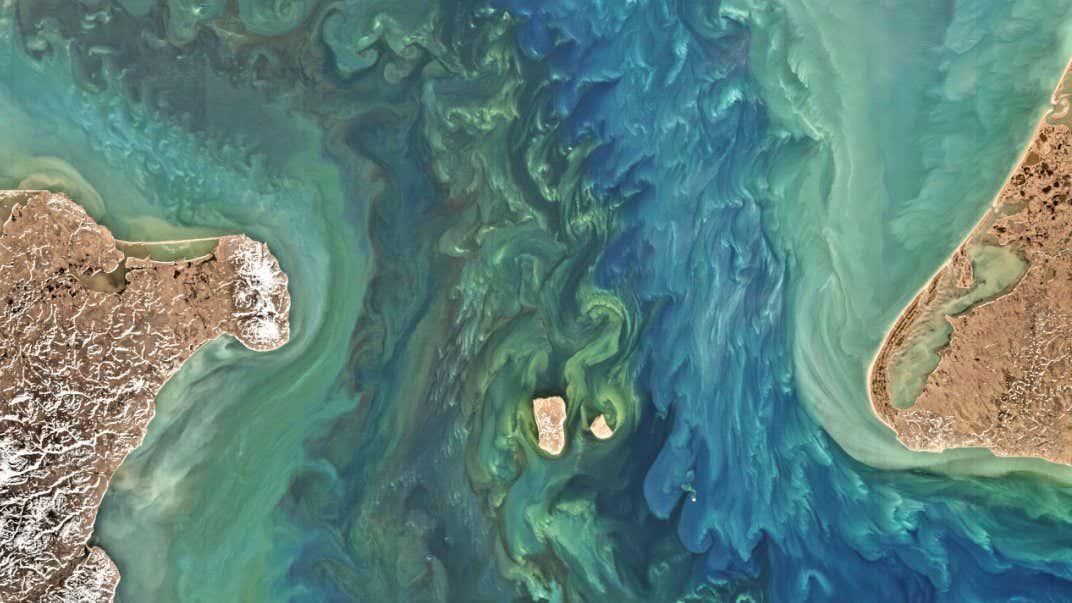 A vast dam across the Bering Strait could stop the AMOC collapsing