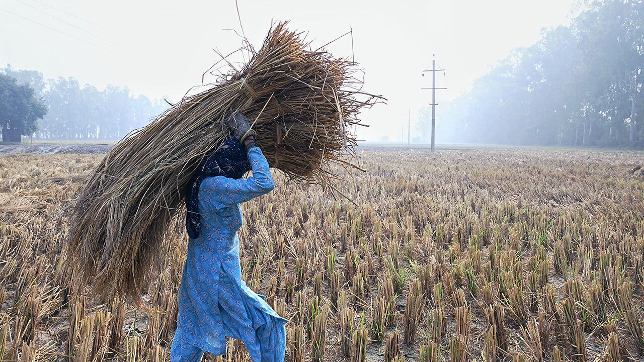 The too-slow change of Indian agriculture 