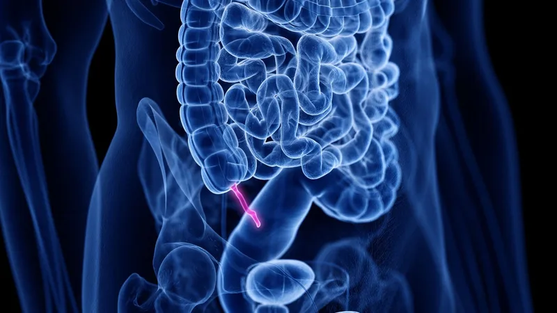 The appendix evolved at least 32 times across 361 species, so it's 'unlikely to be a useless evolutionary accident,' research finds