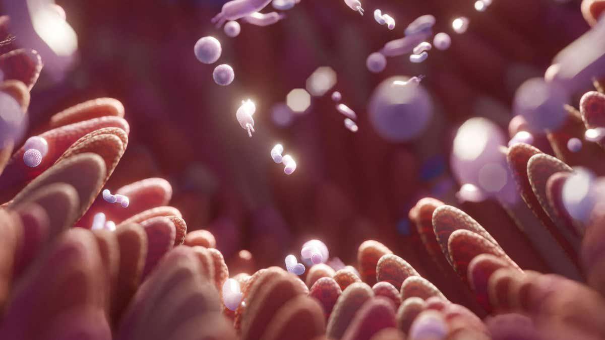 Microbiome study hints that fibre could be linked to better sleep